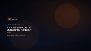 Particuliere belegger (vs. professionele handelaar) — crypto tax glossary (NL)
