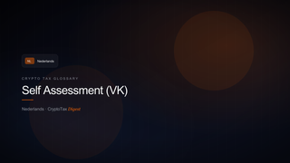 Self Assessment (VK) — crypto tax glossary (NL)